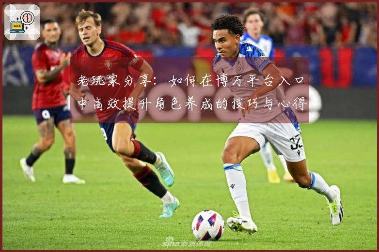 老玩家分享：如何在博万平台入口中高效提升角色养成的技巧与心得
