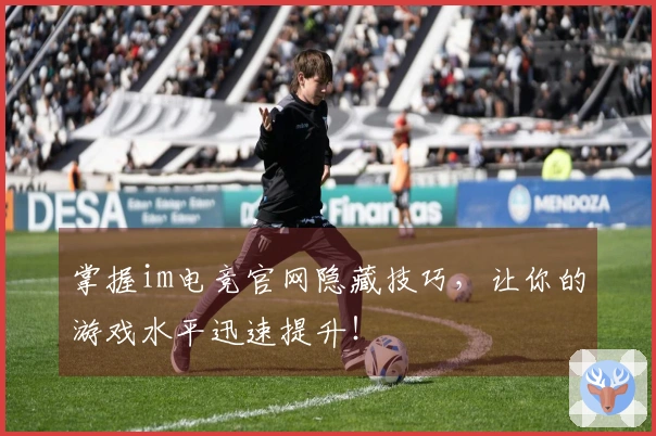 掌握im电竞官网隐藏技巧，让你的游戏水平迅速提升！