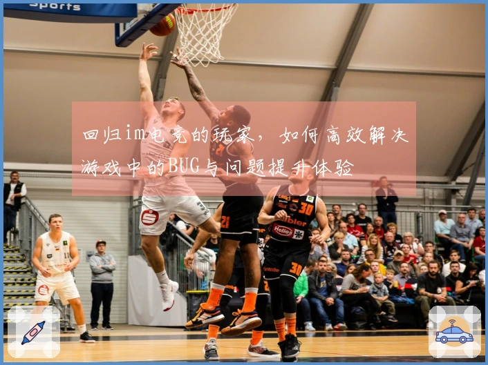 回归im电竞的玩家,如何高效解决游戏中的BUG与问题提升体验
