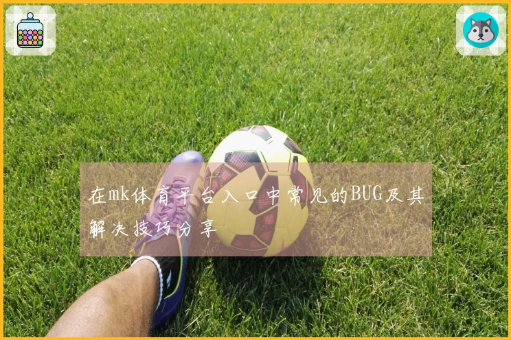 在mk体育平台入口中常见的BUG及其解决技巧分享