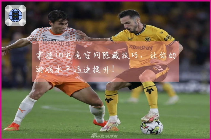 掌握im电竞官网隐藏技巧，让你的游戏水平迅速提升！