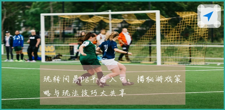 玩转问鼎pg平台入口，揭秘游戏策略与玩法技巧大共享